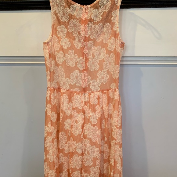 Womens Floral Dress W Peter Pan Collar Size M - Picture 8 of 8